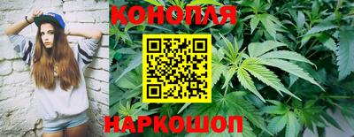 гидропоника Краснодар