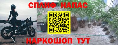 гидропоника Краснодар