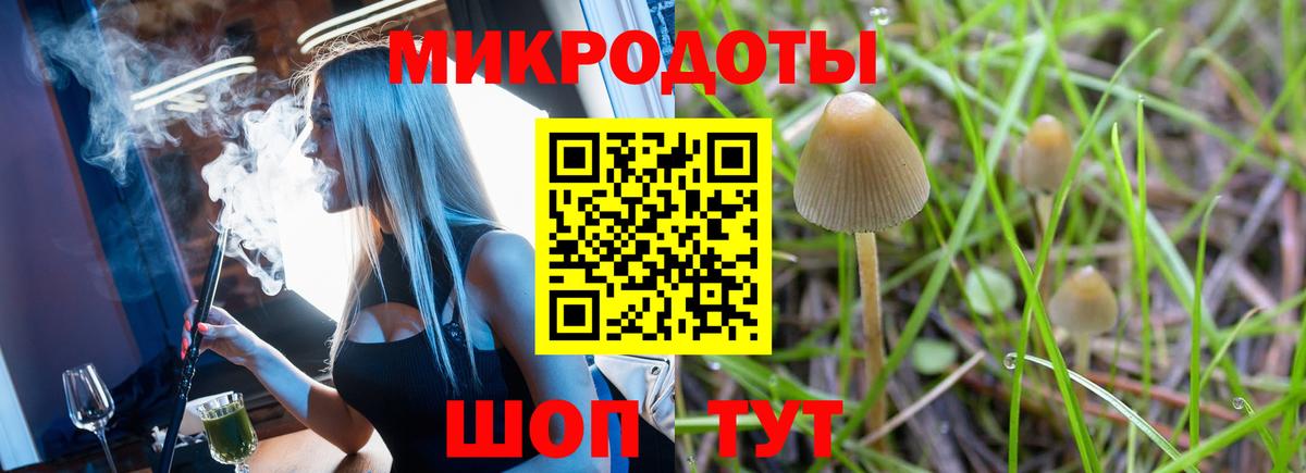 Псилоцибиновые грибы Magic Shrooms  Галлюциногенные грибы Cubensis  Кингисепп  Вход с VPN 